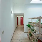 Guarnacci * Volterra